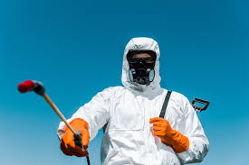 Best Bed Bug Extermination  in Cheswold, DE